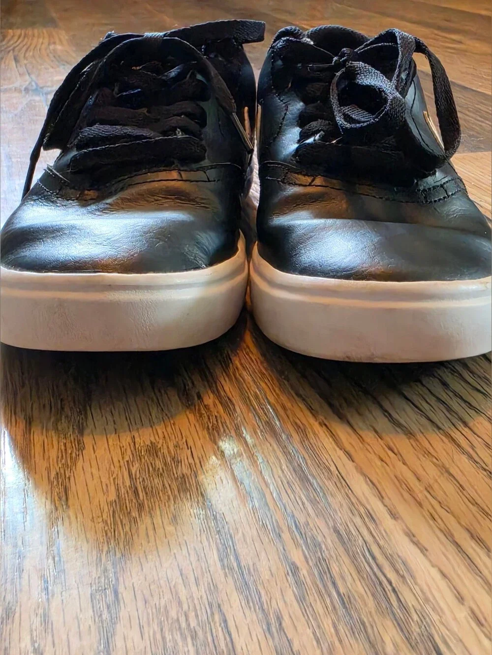 Nike SB Black Low-Top Sneakers with White Swoosh